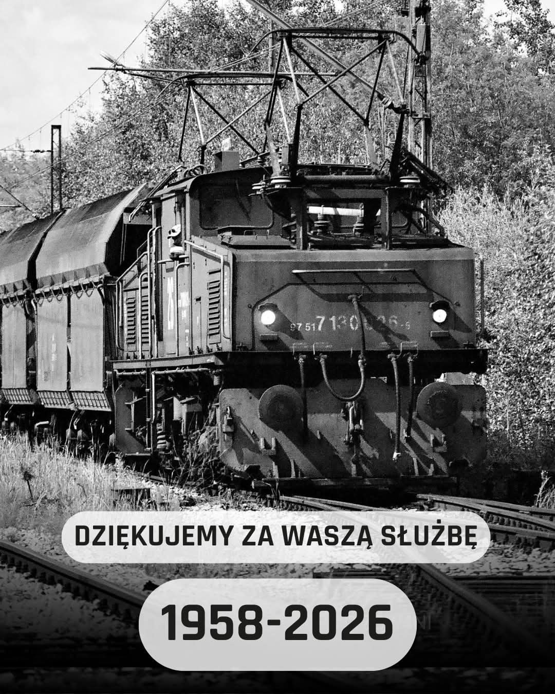 Ostatnie Krokodyle – THE END